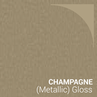 Champagne Gloss